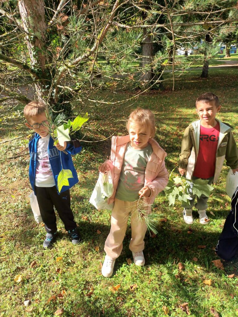 546629093_1480240720273669_7123010460667281828_n